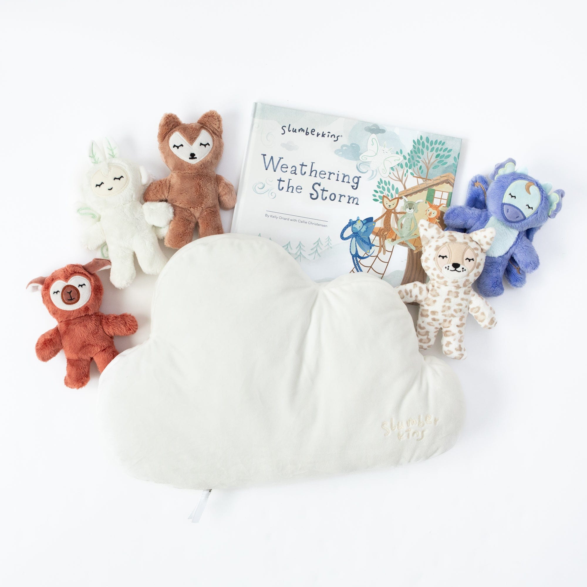Weathering the Storm Pillow Set - View Product