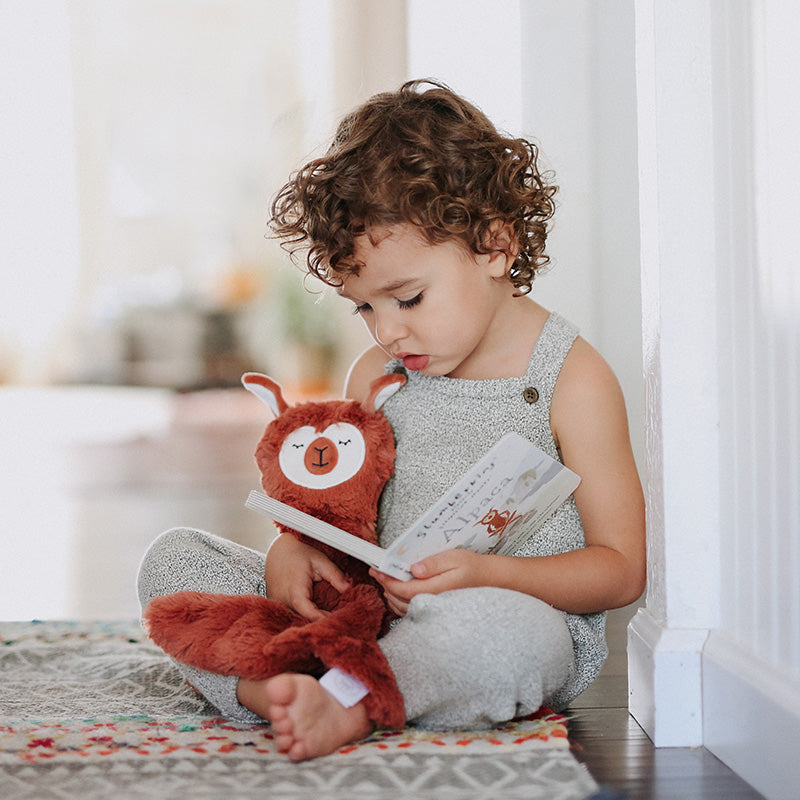 Toddler reading a board book while holding a rust-colored plush friend on a rug in a bright home hallway