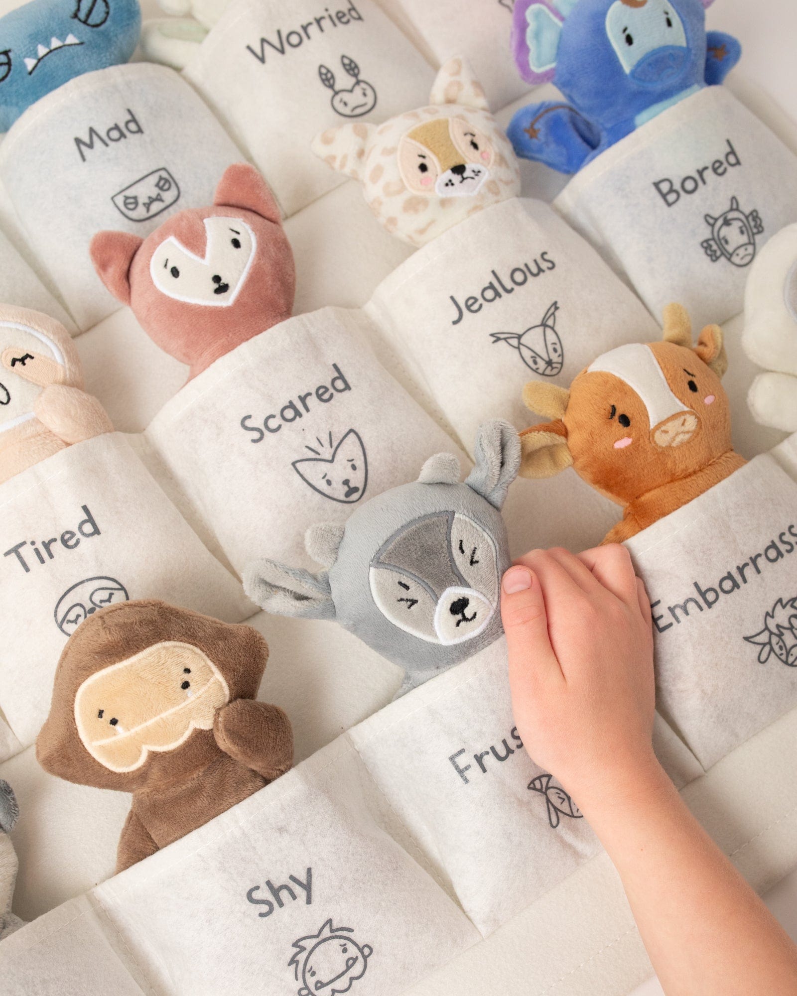 Creatures Full of Feelings Curriculum Kit