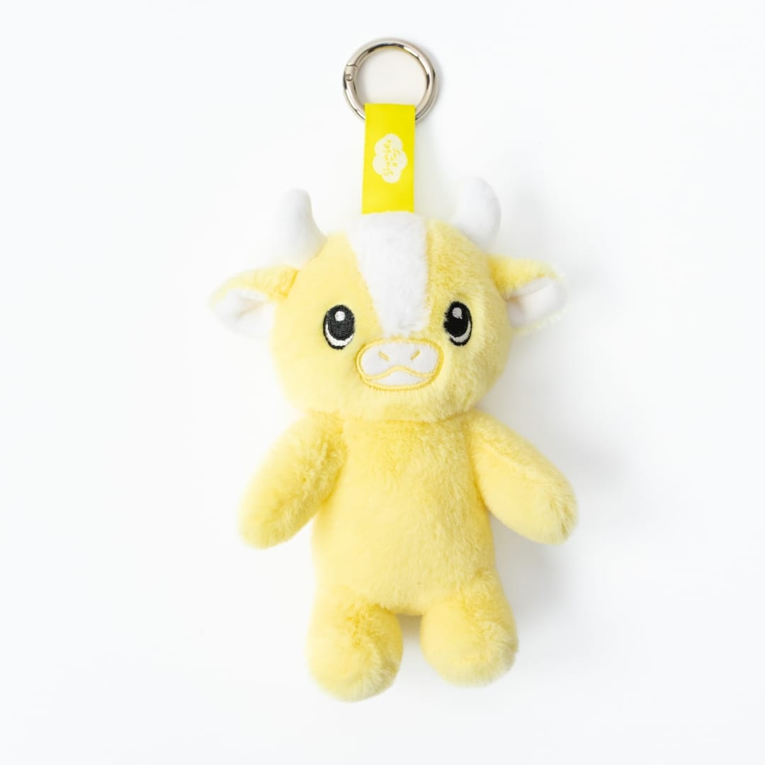 The Colors Within Keychain Set + Book Set