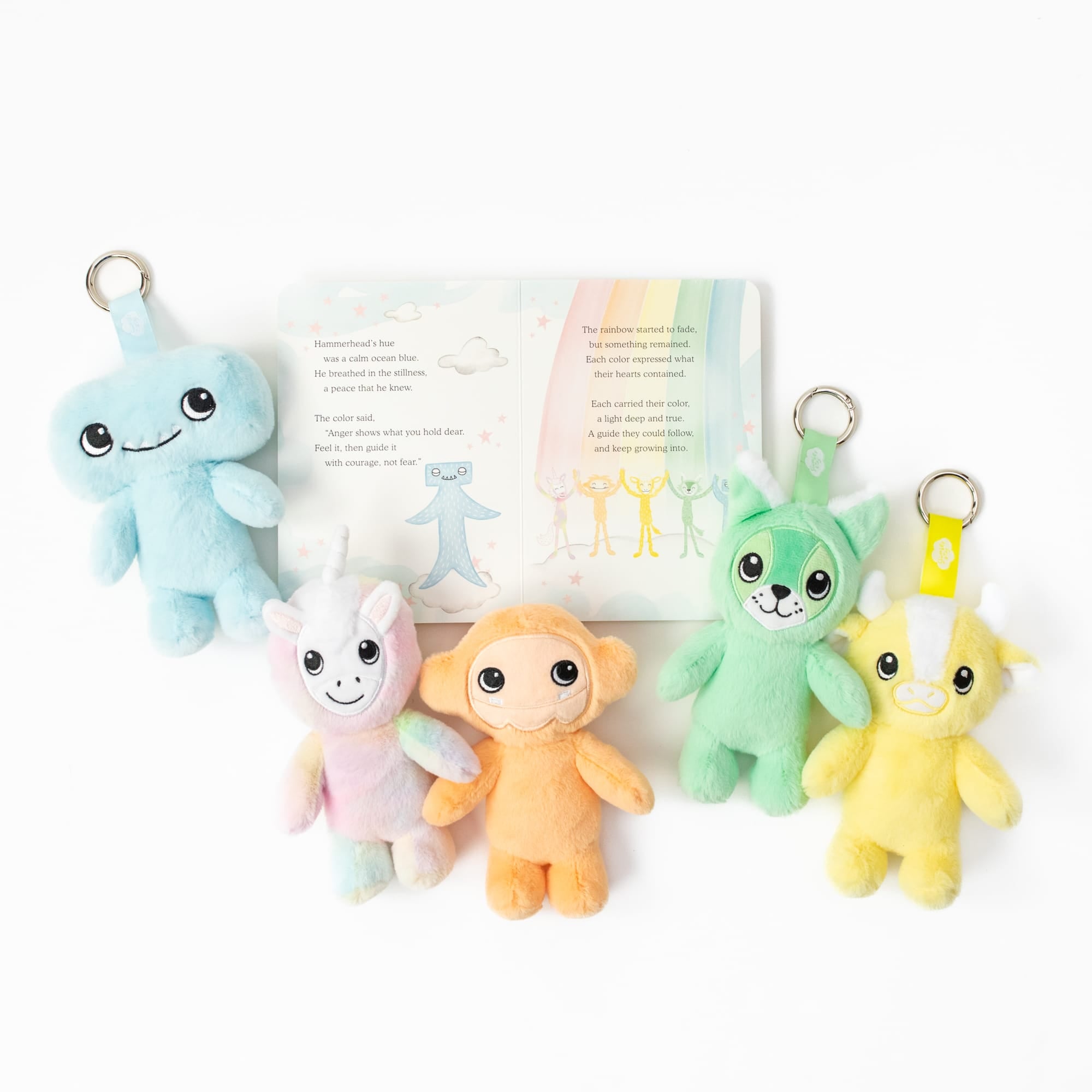 The Colors Within Keychain Set + Book Set