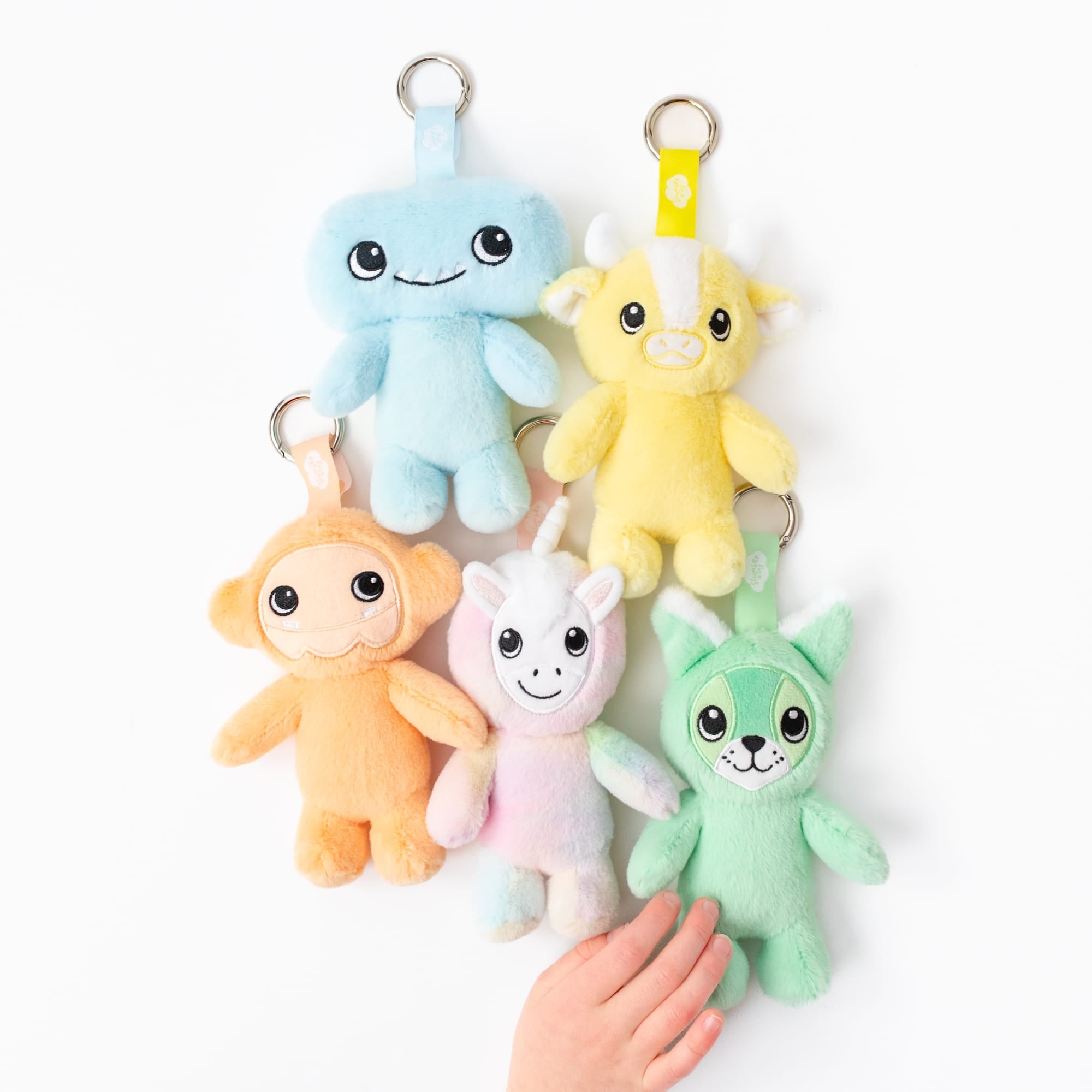 The Colors Within Keychain Set + Book Set