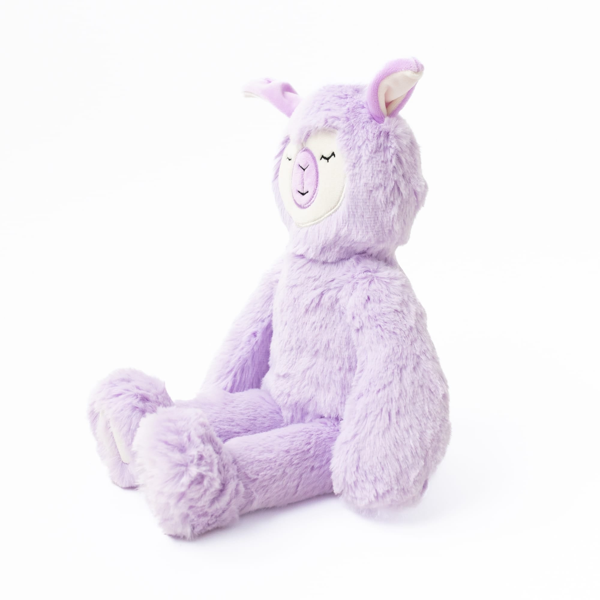 Lighten the Load With Alpaca | Lilac Kin with Books