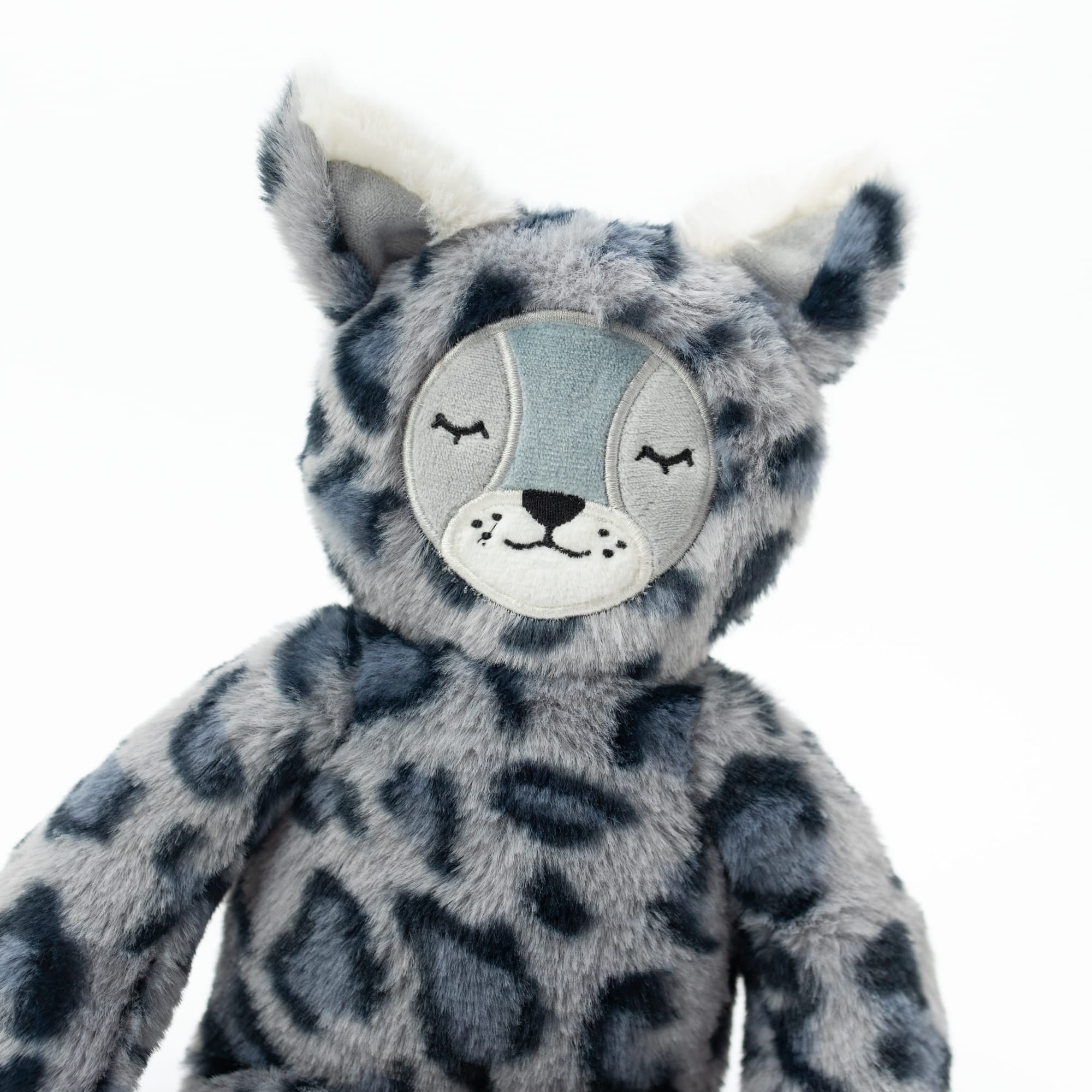 Blue Leopard Lynx Kin with Books